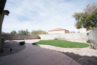 back yard