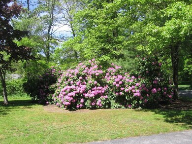 56 Gully Ln, Sandwich, MA 02563 - photo 7