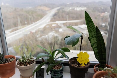 2022-0207-Nevans-PinnacleCondo011