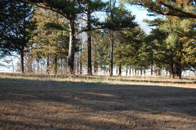 0Lot3 W Highland Cir, Poplar Bluff, MO 63901 - photo 3