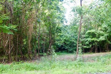 TBD Big Hill Ln, Mount Solon, VA 22843 - photo 2