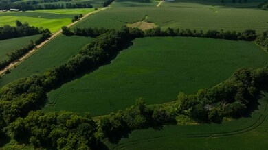 280th Street, Glenwood City, WI 54013 - photo 5