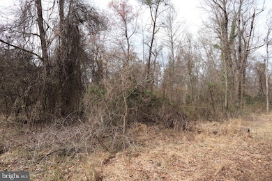 Lots 2-15 Penguin Place, Bryans Road, MD 20616 - photo 4