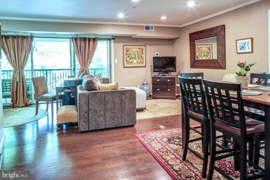 1142 Cove Rd unit 301, Annapolis, MD 21403 - photo 7