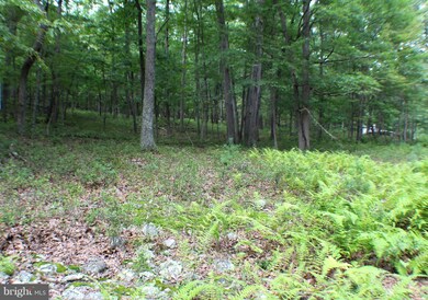 LOT 16 Posy Hill Rd, Wardensville, WV 26851 - photo 7