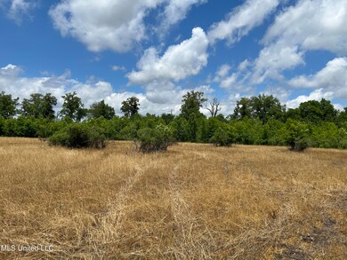 0 Brahan Rd, Sledge, MS 38670 - photo 7