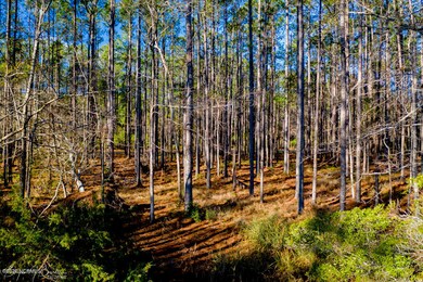 1 Acre lot