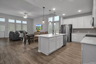 24802 Las Pilas, San Antonio, TX 78261 - photo 4