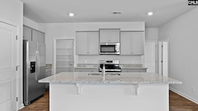 206 Livingston Woods Dr, Irmo, SC 29063 - photo 3