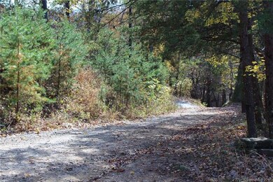 169 Overlook Point Ln unit 212 & 213, Lake Lure, NC 28746 - photo 4