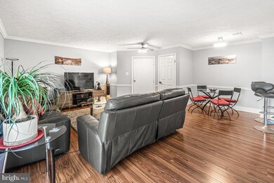 806 Stratford Way unit K, Frederick, MD 21701 - photo 7