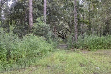 6572 Lenox Ave, Jacksonville, FL 32205 - photo 5