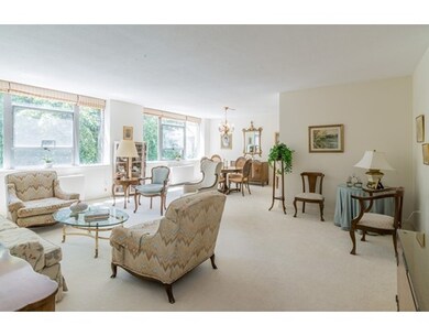 Hammond Park Condominiums unit 204, Chestnut Hill, MA 02467 - photo 2