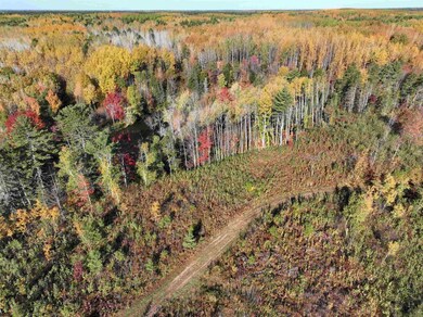 NEAR Rocky Run Rd, Harshaw, WI 54529 - photo 6