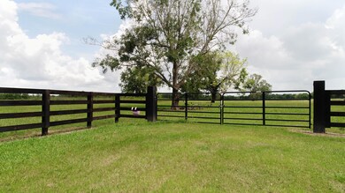 Savie Road Cankton-24