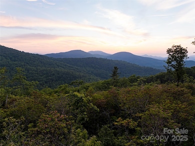 591 Garden Ln, Hendersonville, NC 28792 - photo 3