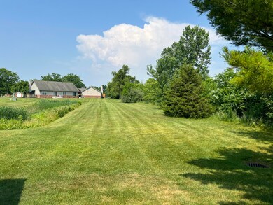 IMG_2354