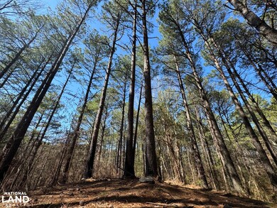 0 Souls Chapel Rd unit 24634253, Blountsville, AL 35031 - photo 4