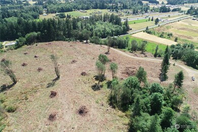 334 State Route 506, Toledo, WA 98591 - photo 4