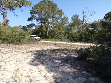 393 Morningside Dr, Lake Placid, FL 33852 - photo 7