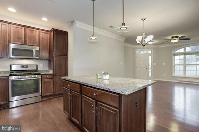43017 Clarks Mill Terrace unit 805, Ashburn, VA 20148 - photo 3