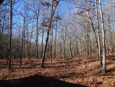 0 Hyde 9 56 Ac Rd unit 706934, Winslow, AR 72959 - photo 2