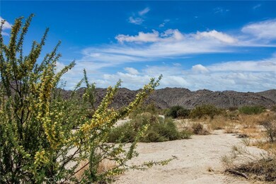 60810121 Cottonwood Dr, Joshua Tree, CA 92252 - photo 2