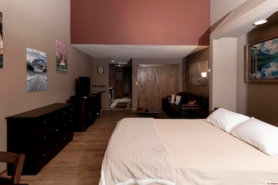 961 N Tamarron Dr unit 555, Durango, CO 81301 - photo 5