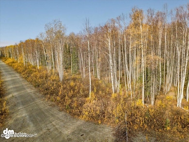 10579 N Little Lonely Lake Rd, Willow, AK 99688 - photo 5