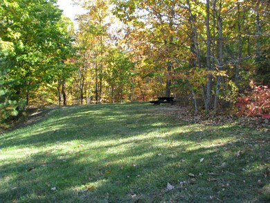 side yard for picnics