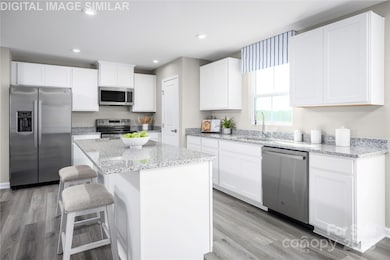 10119 Florentine Way, Charlotte, NC 28214 - photo 3