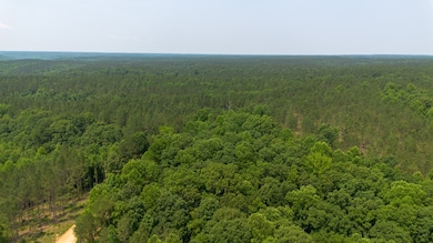 0 Mayfield Divide Rd, Centerville, TN 37033 - photo 4