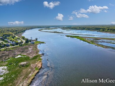 Allison McGee Grand River Lot-8