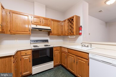 4408 Silverbrook Ln unit K003, Owings Mills, MD 21117 - photo 7