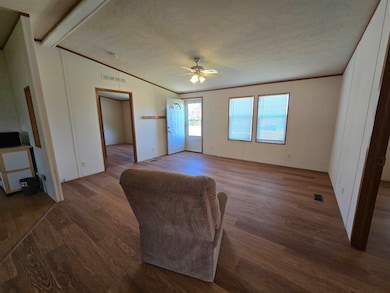 316 S Orange Ave, Lincoln, KS 67455 - photo 3