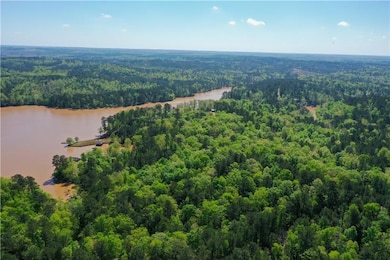 Birds eye view of property featuring a wooded view