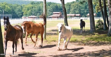 IMG-0081