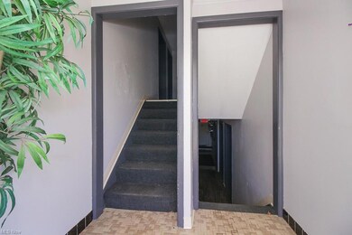 17703 Libby Rd unit 2, Maple Heights, OH 44137 - photo 5