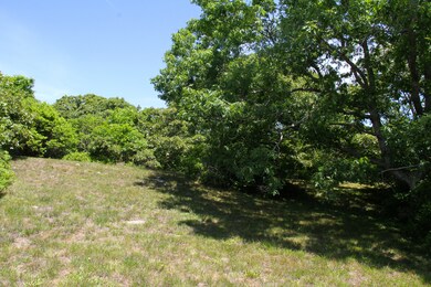 4 South Rd, Chilmark, MA 02535 - photo 3