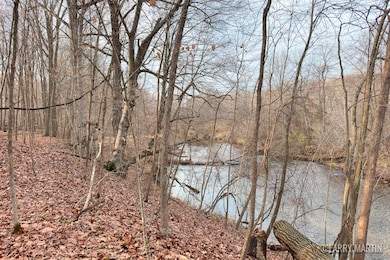 V/L Stoneybrook Trail, Hubbardston, MI 48845 - photo 3