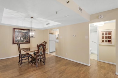 Parkland Condominiums unit 204, Tampa, FL 33609 - photo 4