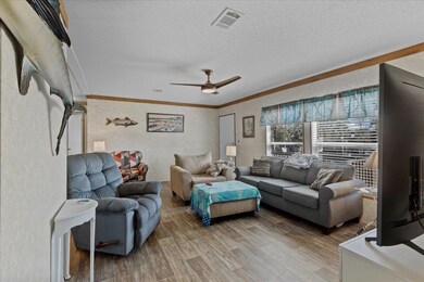 517 Highway 51 NE, Steinhatchee, FL 32359 - photo 6