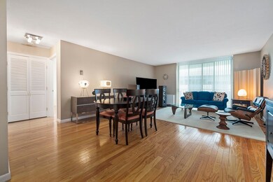 Imperial Towers unit 313, Chestnut Hill, MA 02467 - photo 5
