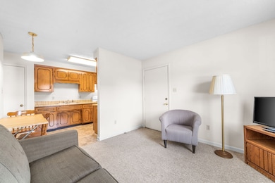 102 Laurel Cove Dr unit 13, Hopkinsville, KY 42240 - photo 6