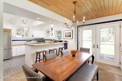 1500 S Ute Ave, Aspen, CO 81611 - photo 4