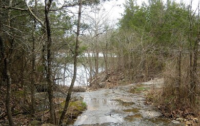 IMG_7530