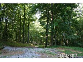 1218 Kanawa Ln unit 123, Arden, NC 28704 - photo 4