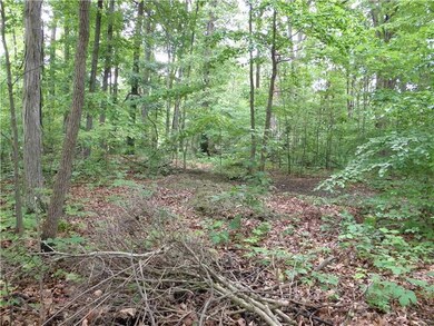 Land/Lot.  2 Flat Lots almost an acre. Seller s were planning to build a ranch w/ 3 car garage. Make your dreams come true.