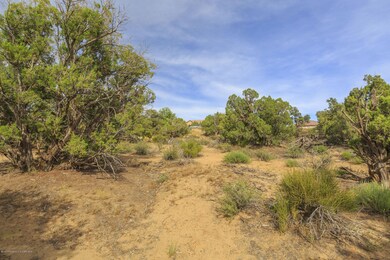 7501 Las Brisas Trail, Farmington, NM 87402 - photo 6
