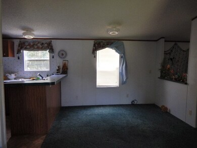 406 2nd St W, Steinhatchee, FL 32359 - photo 3